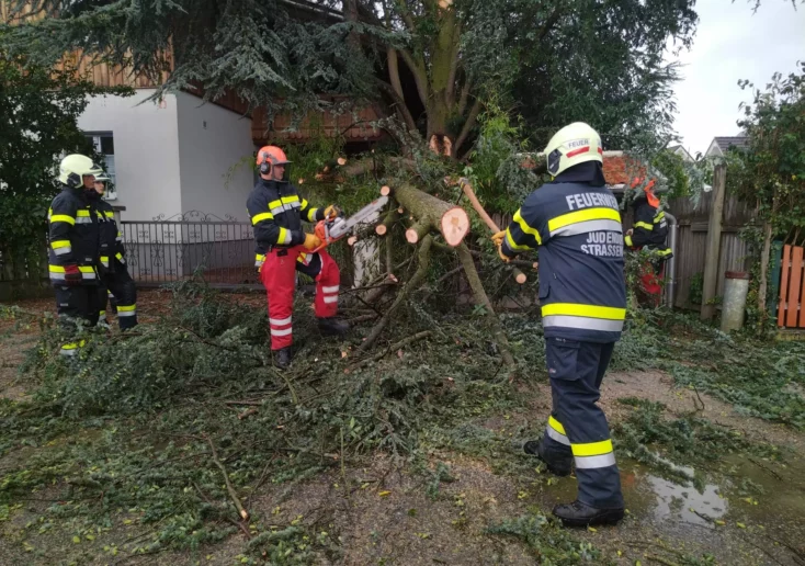 Symbolfoto zu einem Beitrag von 5min.at: Steirische Feuerwehrleute schneiden einen Baum nach einem Unwetter um