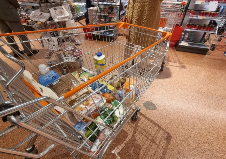 Symbolfoto zu einem Beitrag von 5min.at: Lebensmittel in einem Einkaufswagen
