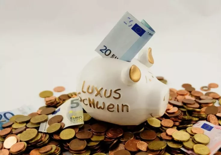 Symbolfoto von 5min.at: Sparschwein, umgeben von Geldscheinen und Münzen.