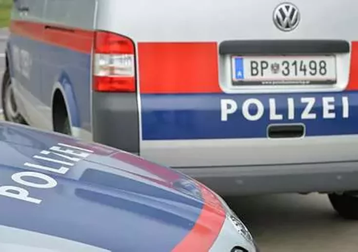 Symbolfoto von 5min.at: Polizeiauto und Polizeibus bei Tag im Einsatz.