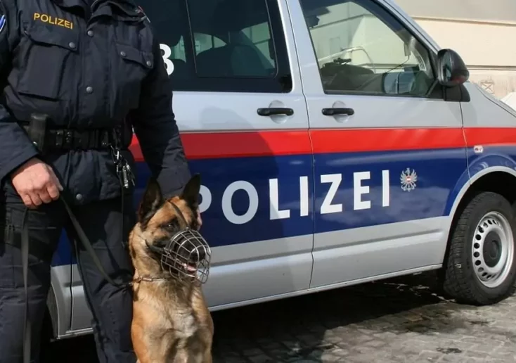 Symbolfoto von 5min.at: Polizeihund im Einsatz.