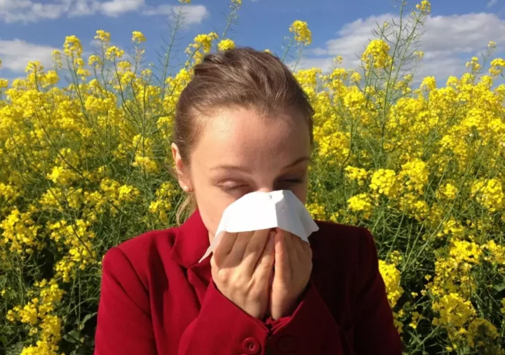 Symbolfoto von 5min.at: Frau reagiert allergisch auf Pollen.