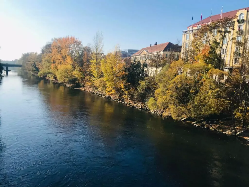 Symbolfoto von 5min.at: die Mur im Herbst
