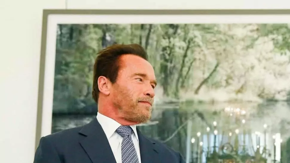 Foto in Beitrag von 5min.at: Zu sehen ist Arnold Schwarzenegger vor einem großen Wandbild.