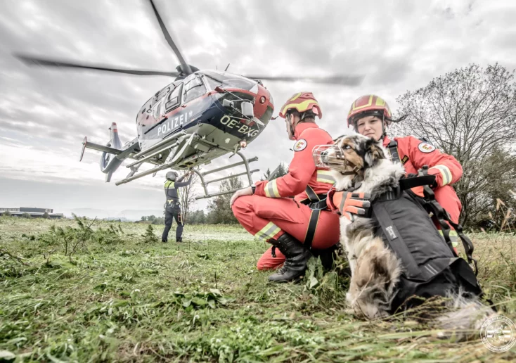 Das Bild auf 5min.at zeigt: Das Flugteam der Österreichischen Rettungshundebrigade Kärnten beim Training mit der Flugpolizei.