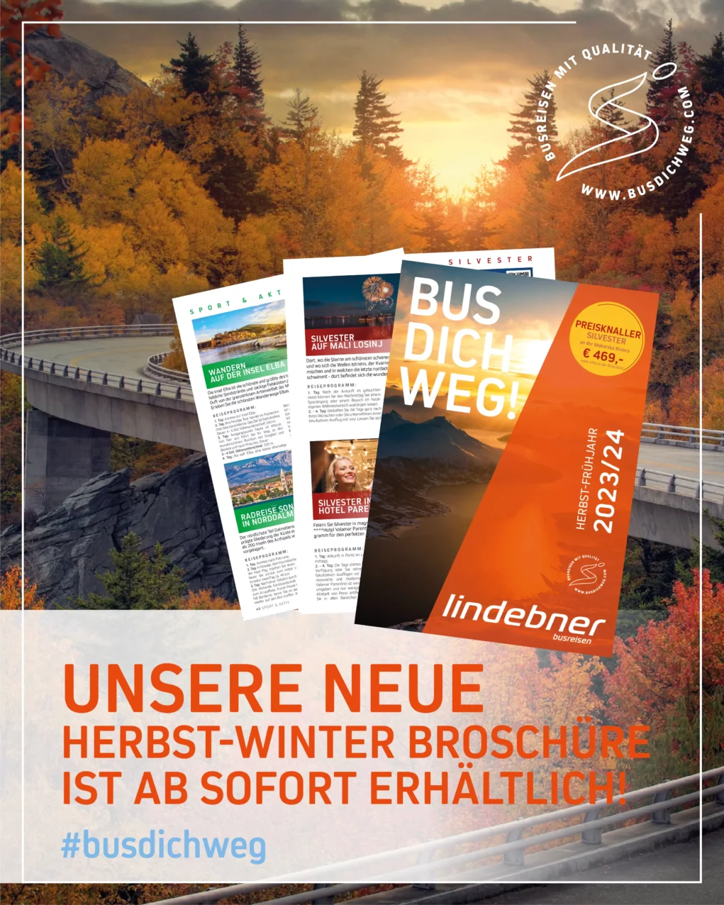 Lindebner Reisebüro und Busunternehmen: Traumurlaubs-Angebote für jeden