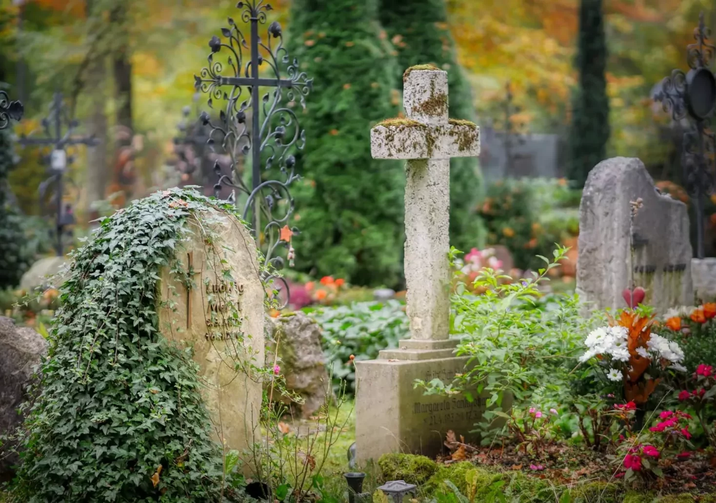 Foto in Beitrag von 5min.at: Zu sehen ist ein Friedhof im Grünen mit einigen Kreuzen.