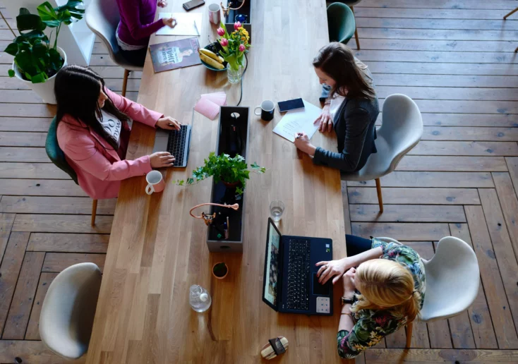 Das Bild zeigt Frauen bei der Arbeit am Laptop.