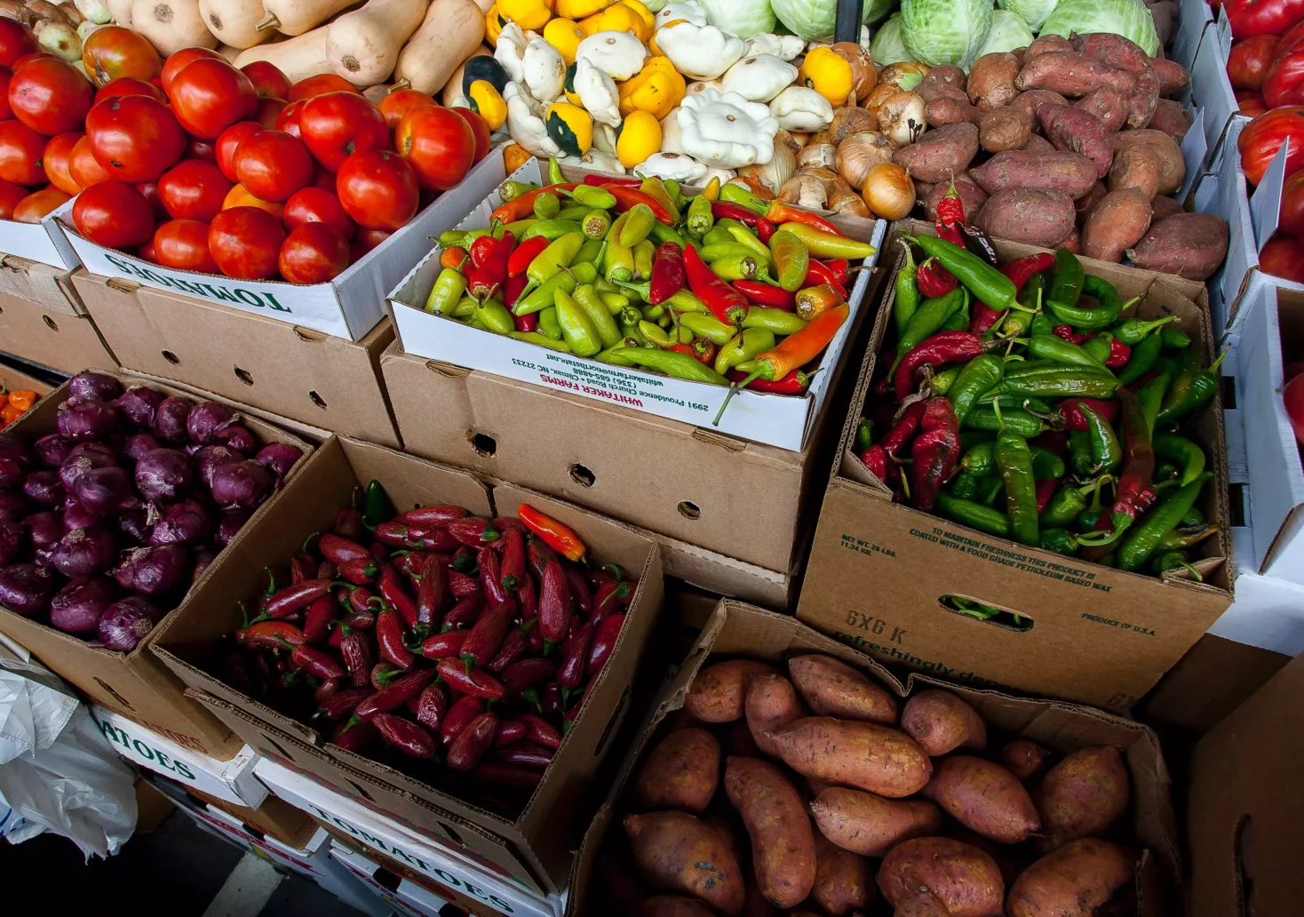 Symbolbild auf 5min.at zeigt verschiedenes Gemüse auf einem Markt.