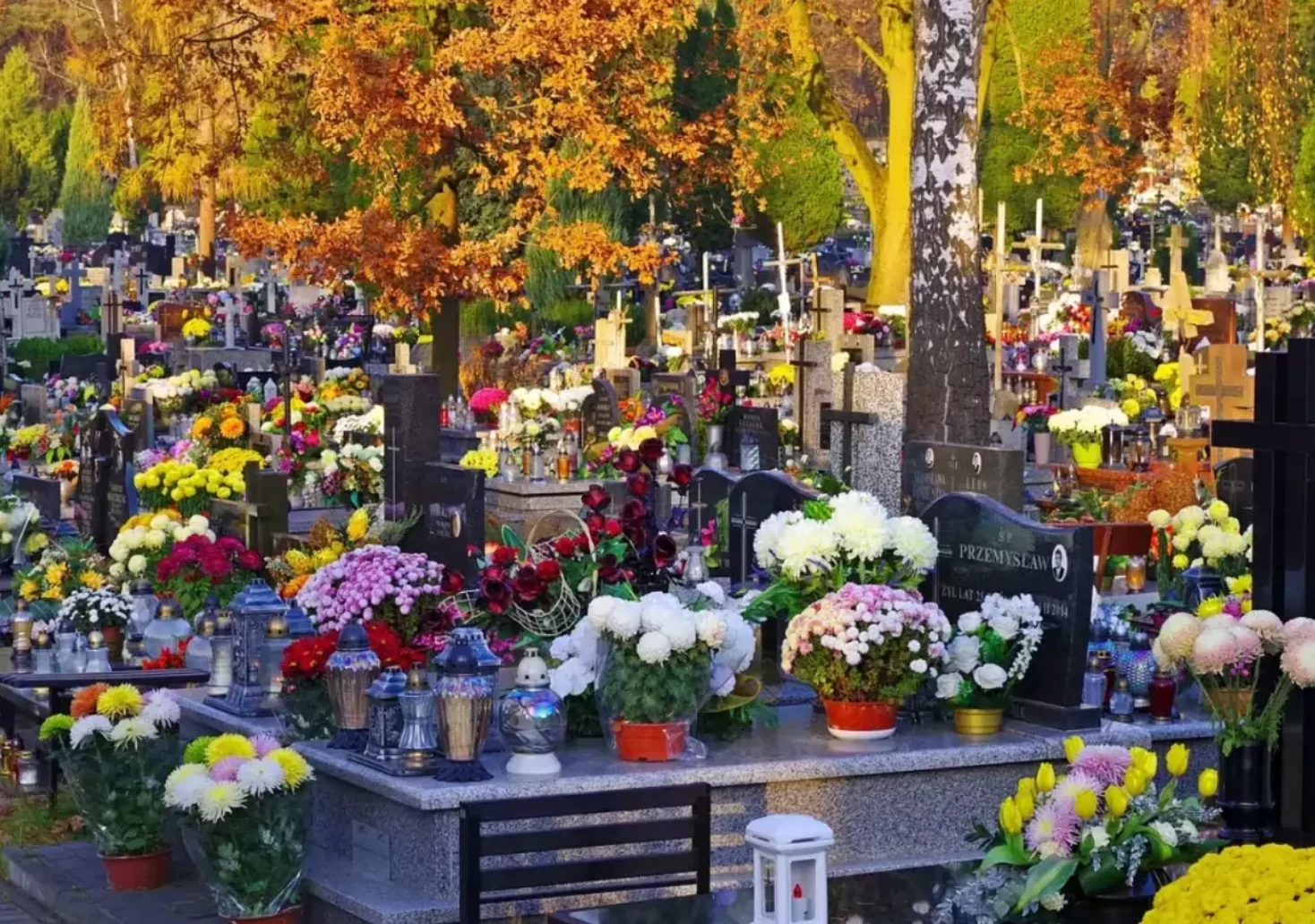 Symbolbild auf 5min.at zeigt Blumenschmuck auf Friedhof.