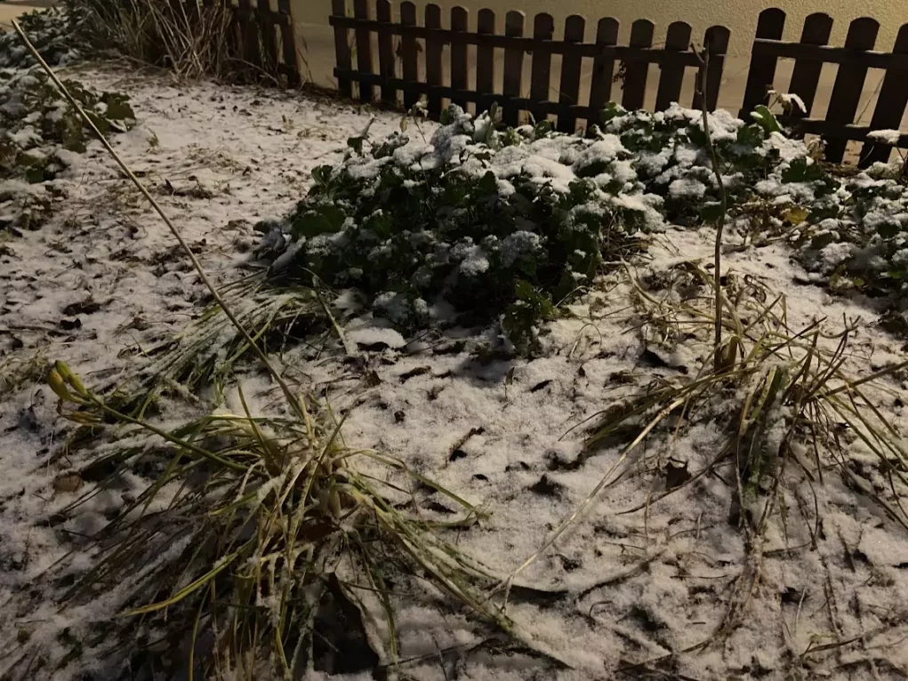 Foto in Beitrag von 5min.at: Zu sehen ist eine leichte Schneedecke in Klagenfurt, Gras und Co. schauen stellenweise durch.