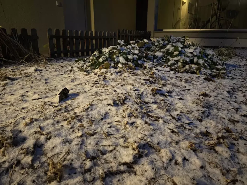 Foto in Beitrag von 5min.at: Zu sehen ist eine leichte Schneedecke in Klagenfurt, das Gras schaut stellenweise durch.