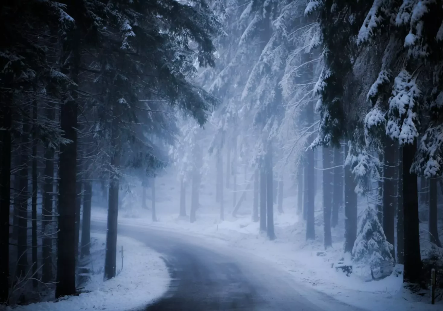 Ein Bild auf 5min.at zeigt einen verschneiten Wald.