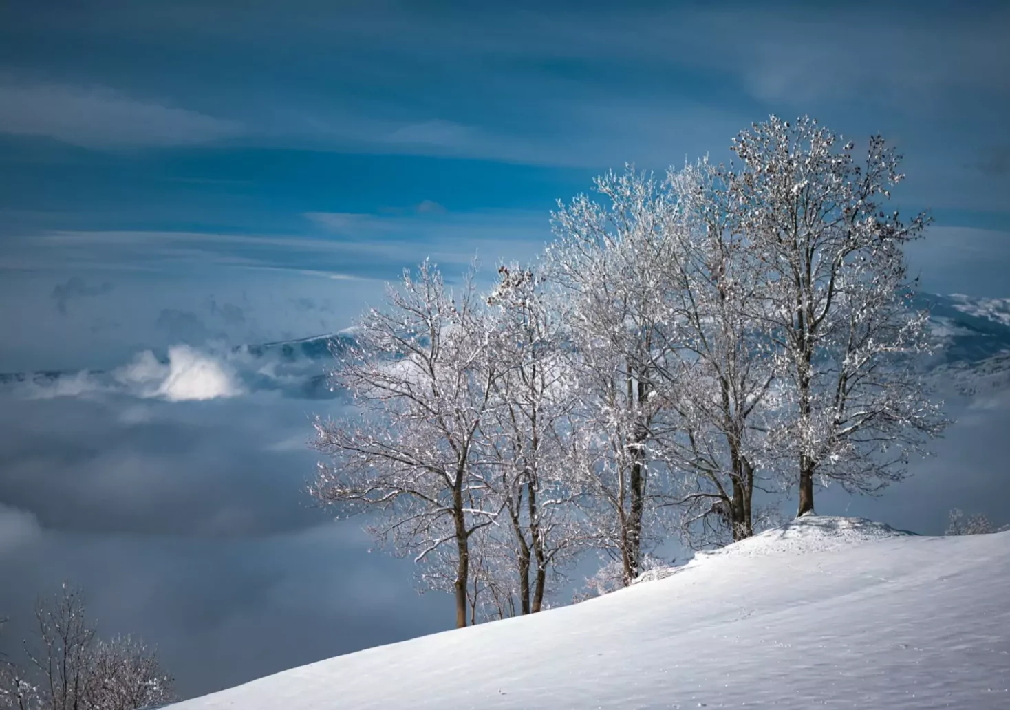 Ein Bild auf 5min.at zeigt eine Schneelandschaft in Kärnten.