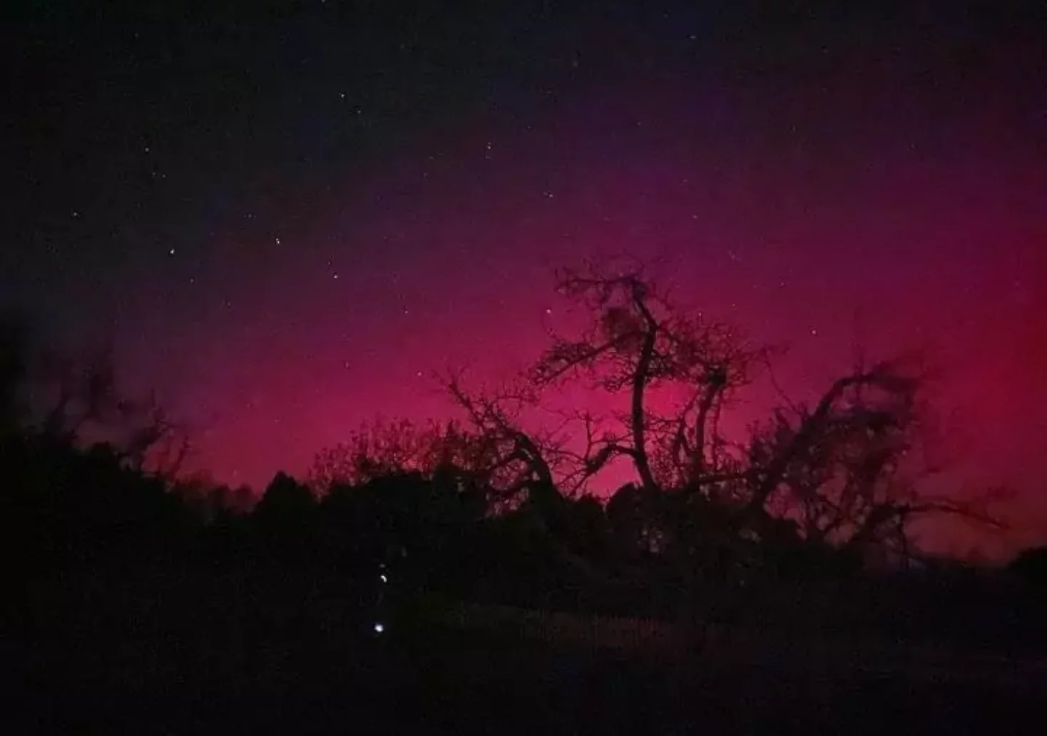Ein Bild auf 5min.at zeigt pinkfarbene Polarlichter, die am Rosentaler Nachthimmel leuchten.