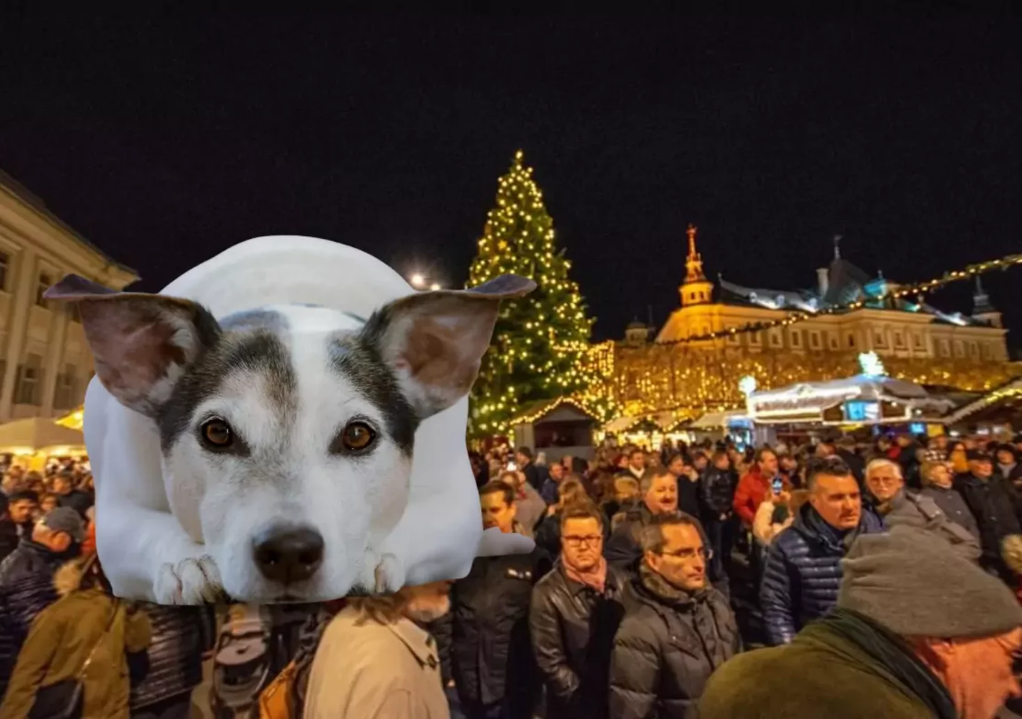 Bild auf 5min.at zeigt viele Menschen auf einem Weihnachtsmarkt und einen Hund.