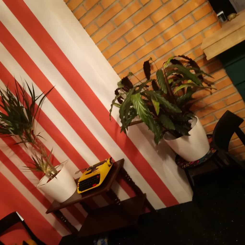 Ein Bild auf 5min.at zeigt Pflanzen im Café "Glück" in Villach.