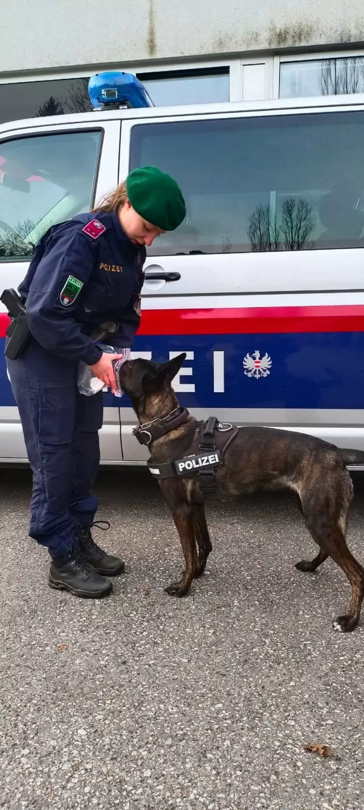 Ein Bild auf 5min.at zeigt Polizeidiensthündin Oana mit Diensthundeführerin Christina.