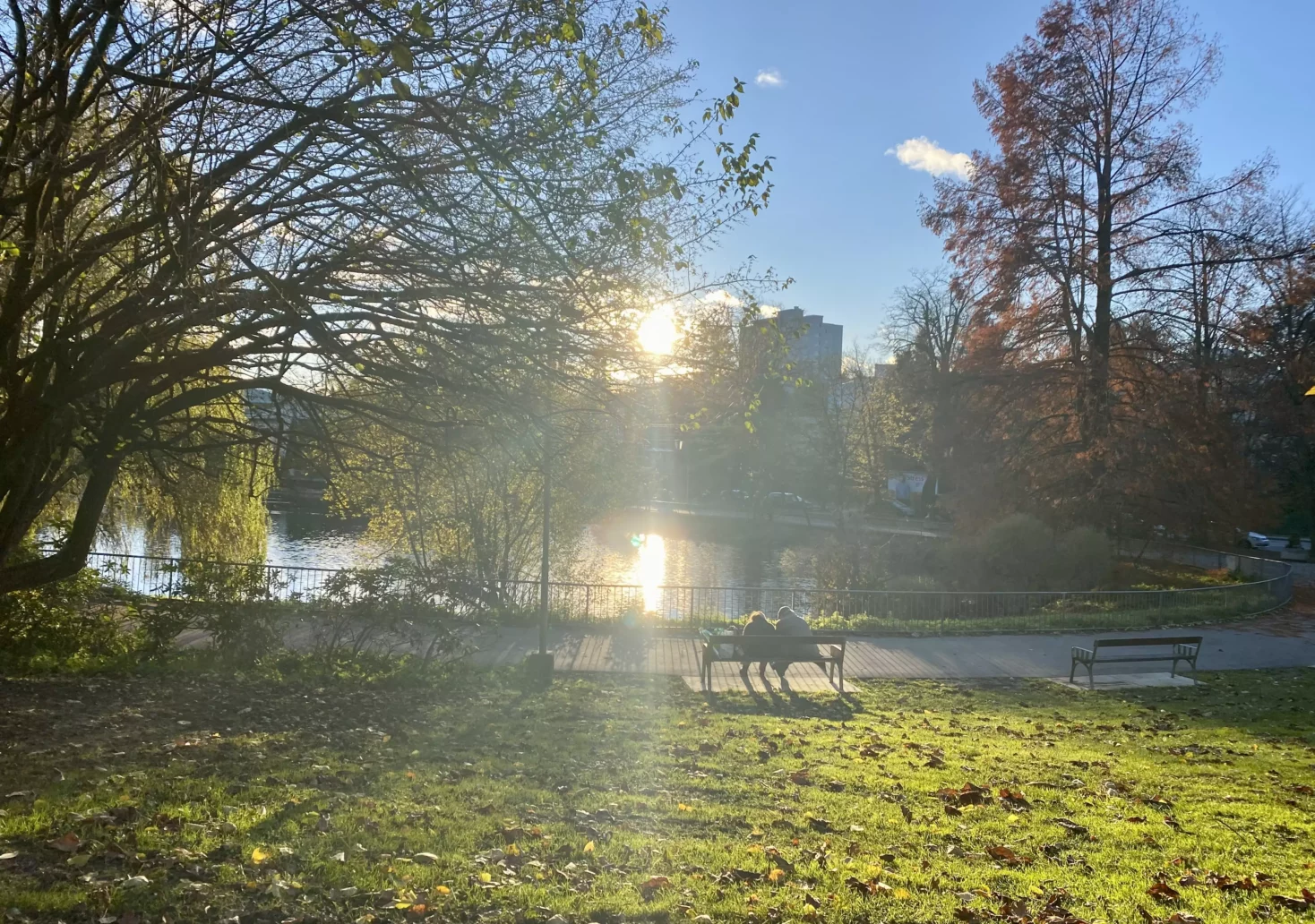 Bild auf 5min.at zeigt die Kulisse rund um einen Teich im Herbst.
