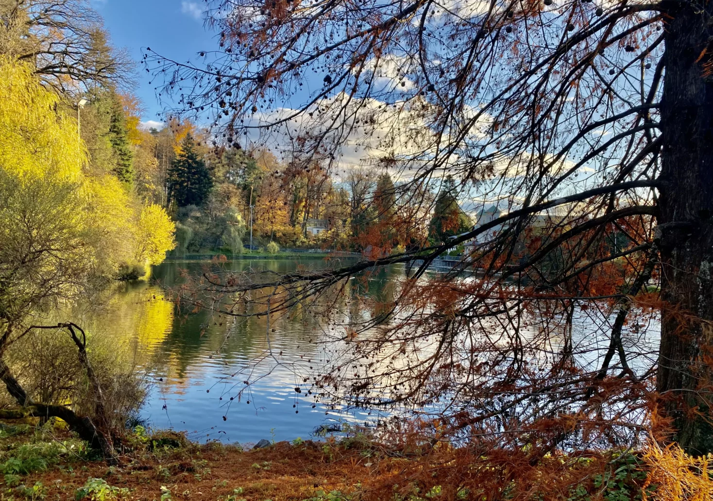 Bild auf 5min.at zeigt die Kulisse rund um einen Teich im Herbst.