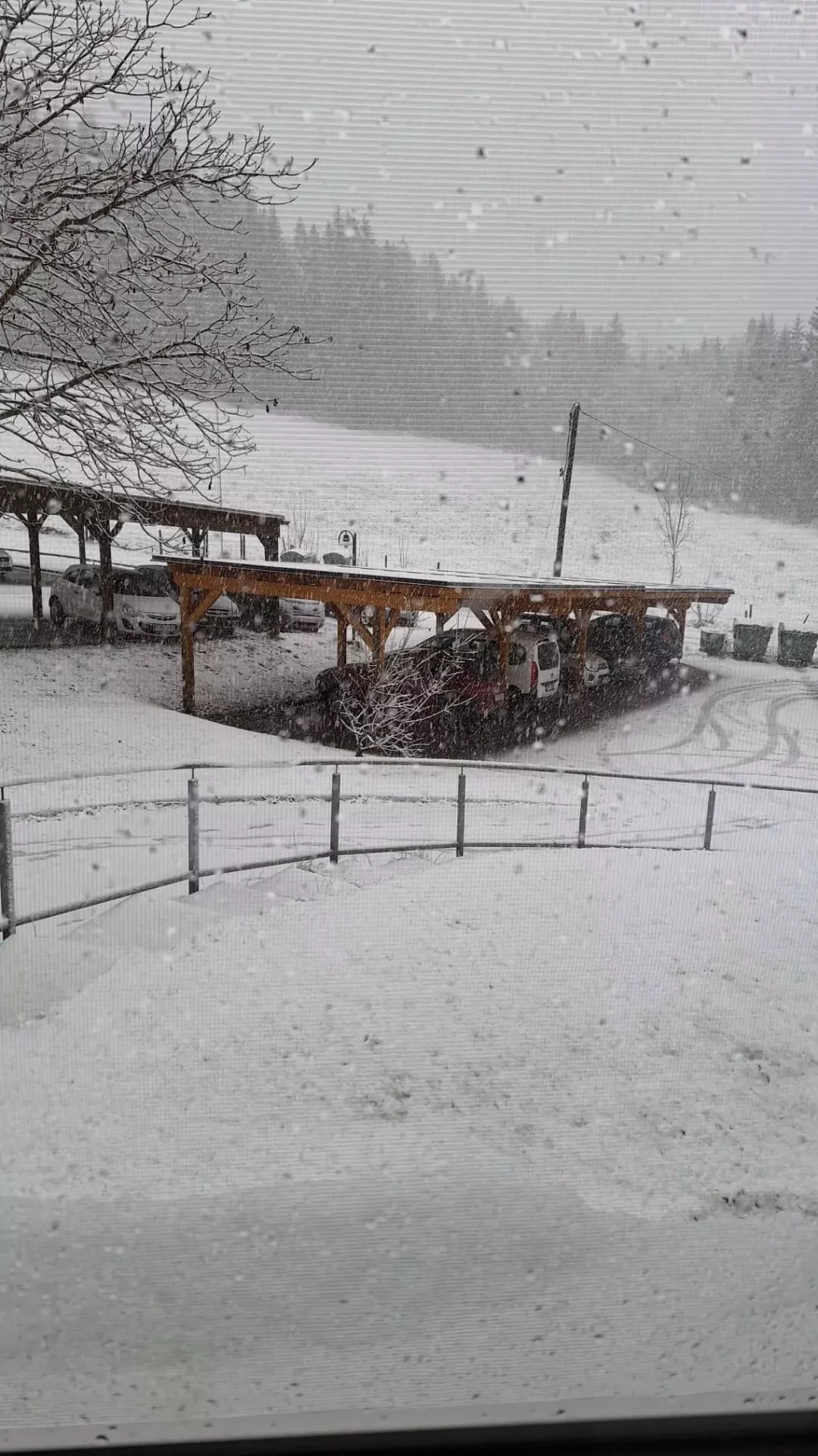 Foto auf 5min.at zeigt Schneefall in Wachsenberg, Gemeinde Steuerberg Bezirk Feldkirchen in Ktn.