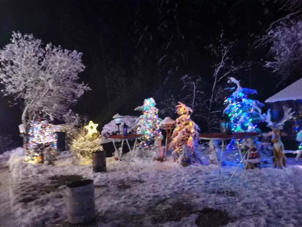 Foto in Beitrag von 5min.at: Zu sehen sind mehrere Christbäume, von Schnee, Schmuck und Lichtern überzogen.