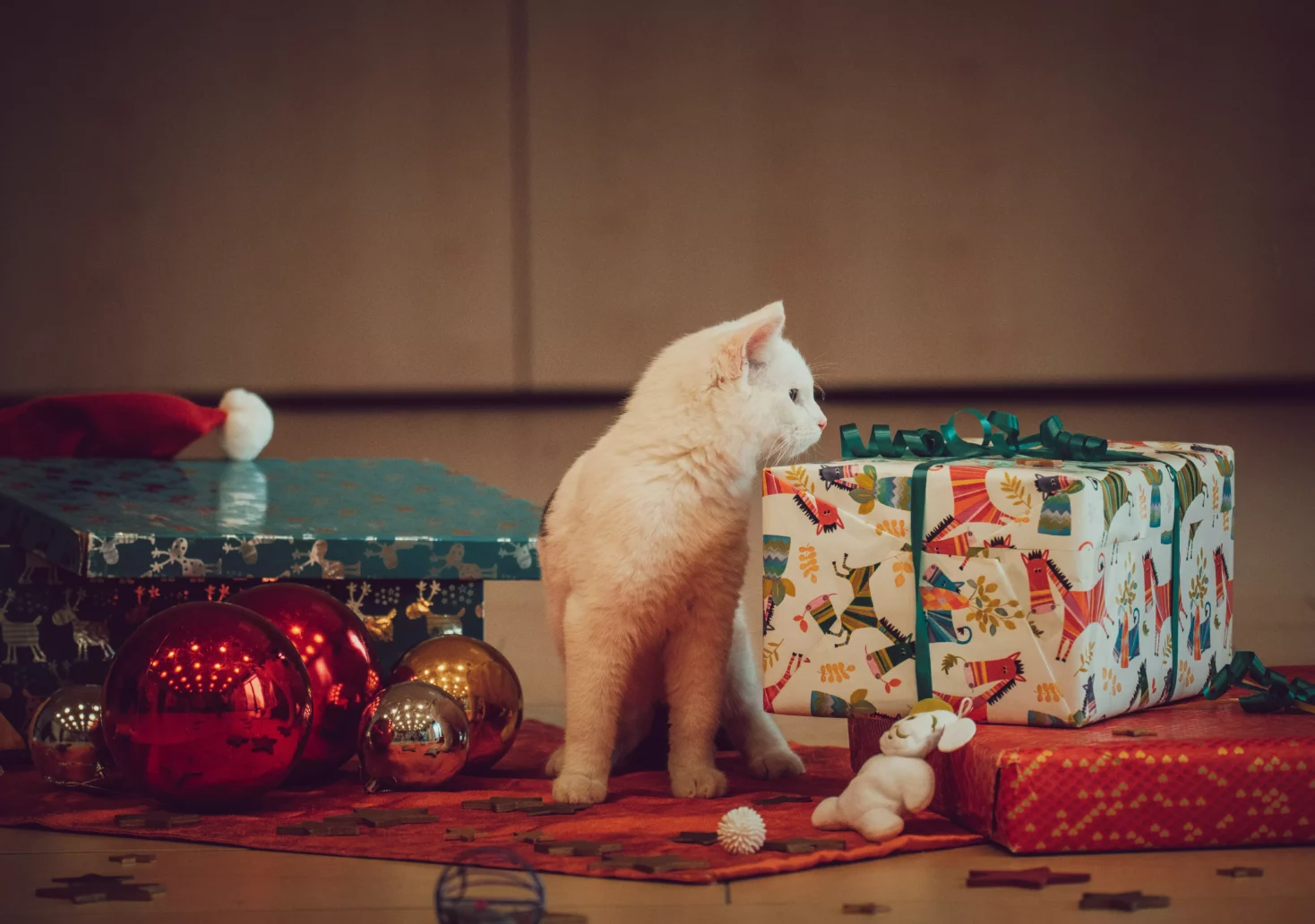 Das Bild auf 5min.at zeigt eine Katze zwischen vielen Geschenken.