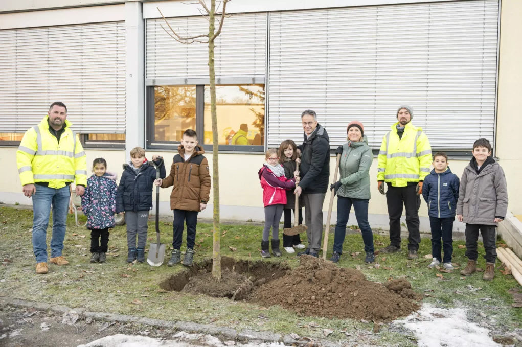 Schulhof der VS Triester profitiert von 43 neu gepflanzten Bäumen