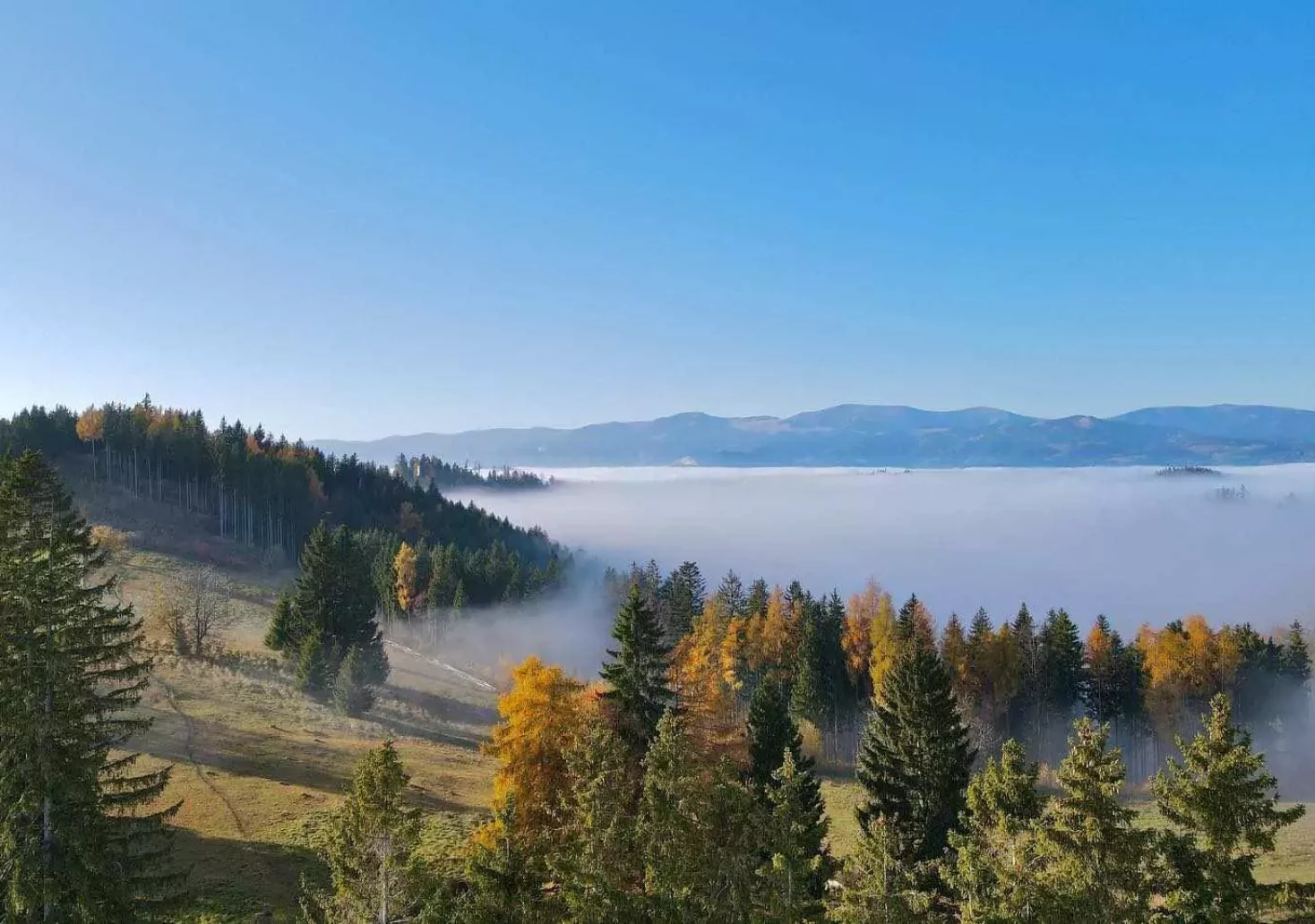 Bild auf 5min.at zeigt eine Berglandschaft, im Tal liegt Nebel.