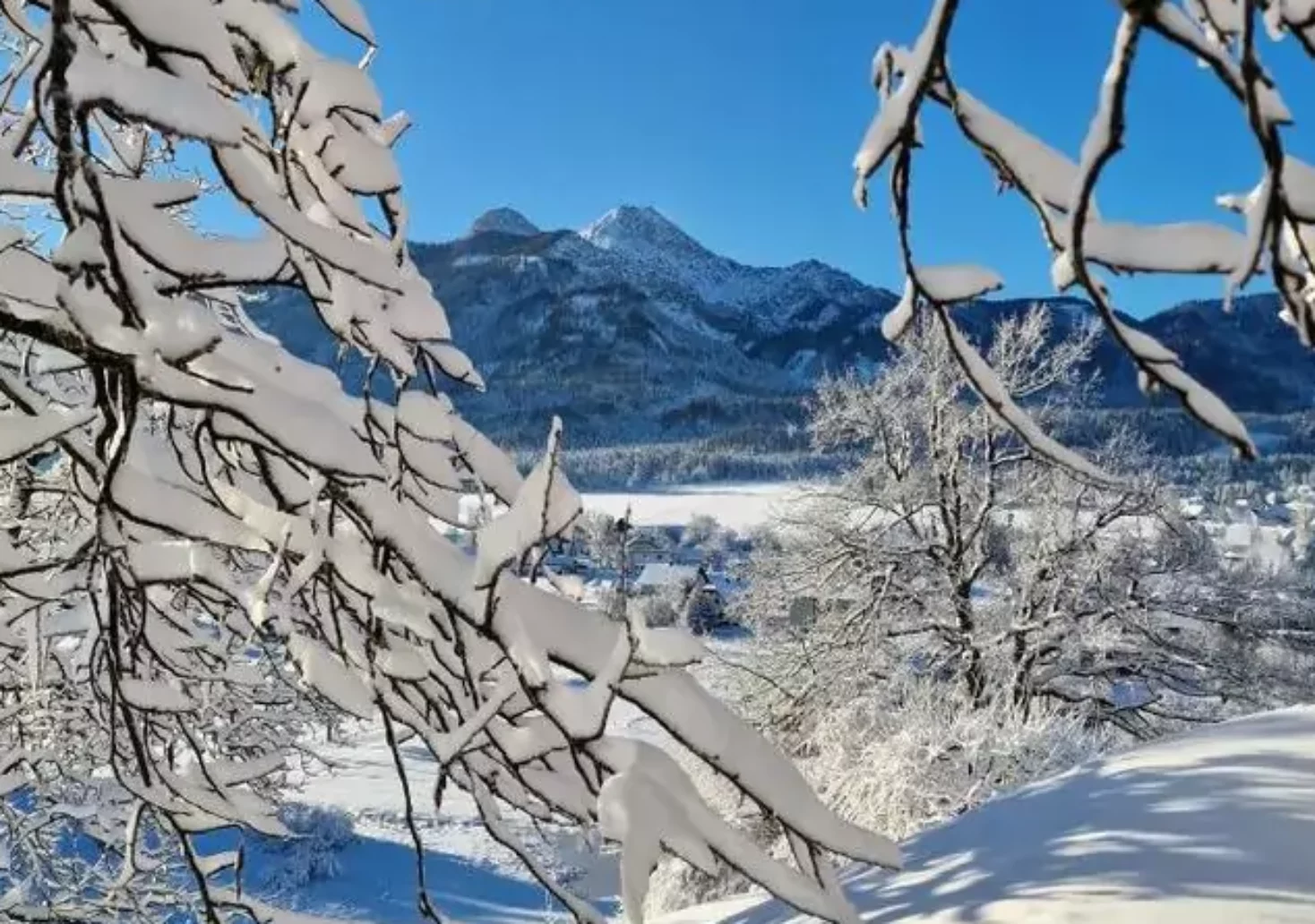 Foto auf 5min.at zeigt eine verschneite Landschaft in Kärnten.