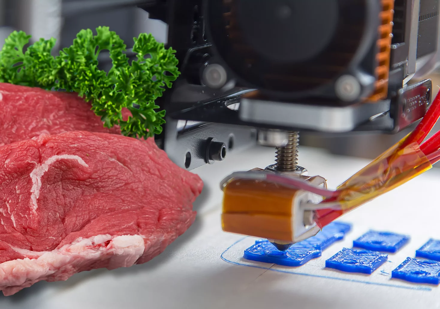 Eine Bildmontage auf 5min.at zeigt ein Stück Fleisch und einen 3D-Drucker.