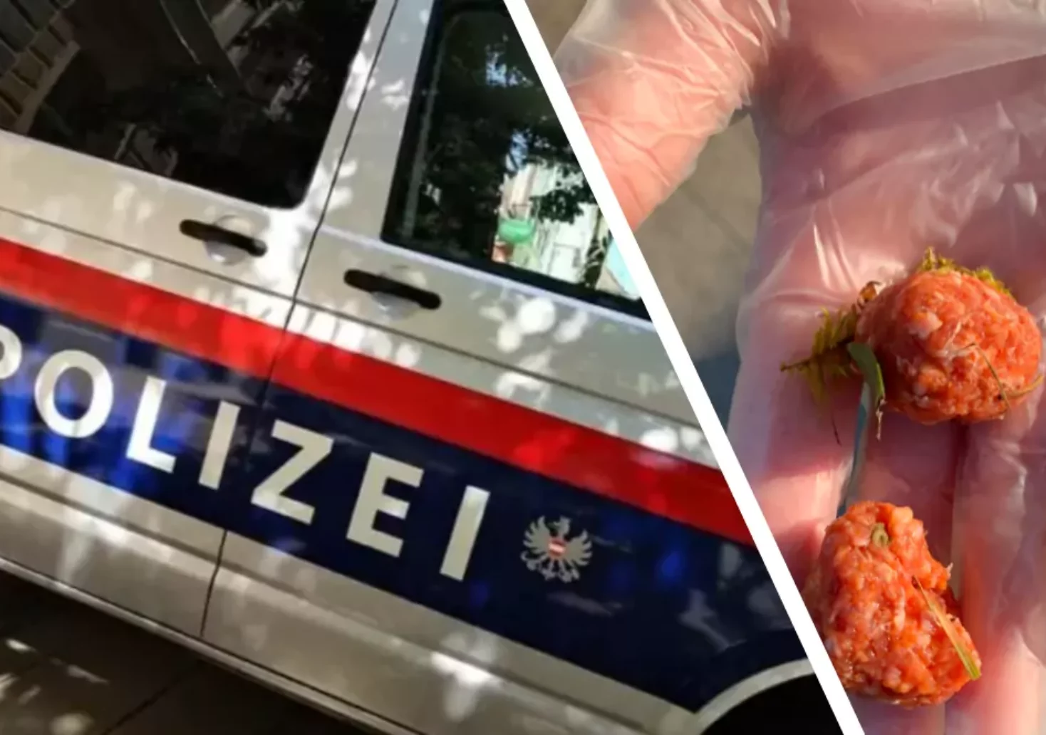 Nach Giftköder-Attacken in Graz: Polizei ermittelt wegen Tierquälerei