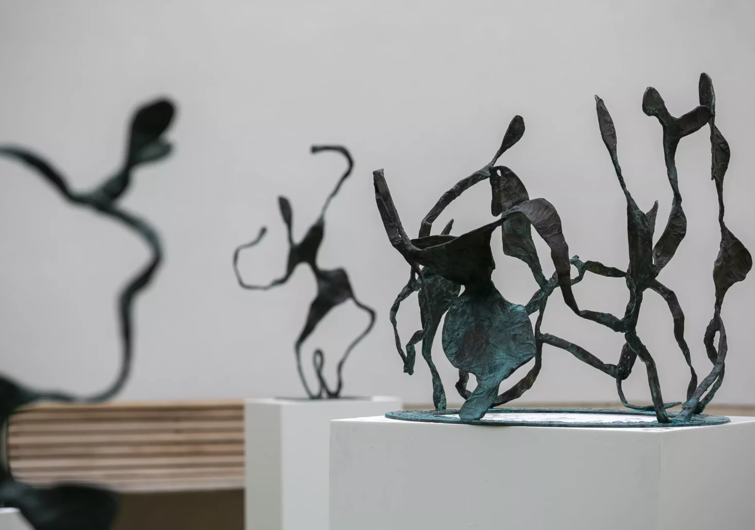 Skulpturenausstellung: Grazerin „sät“ Kunst im Botanischen Garten
