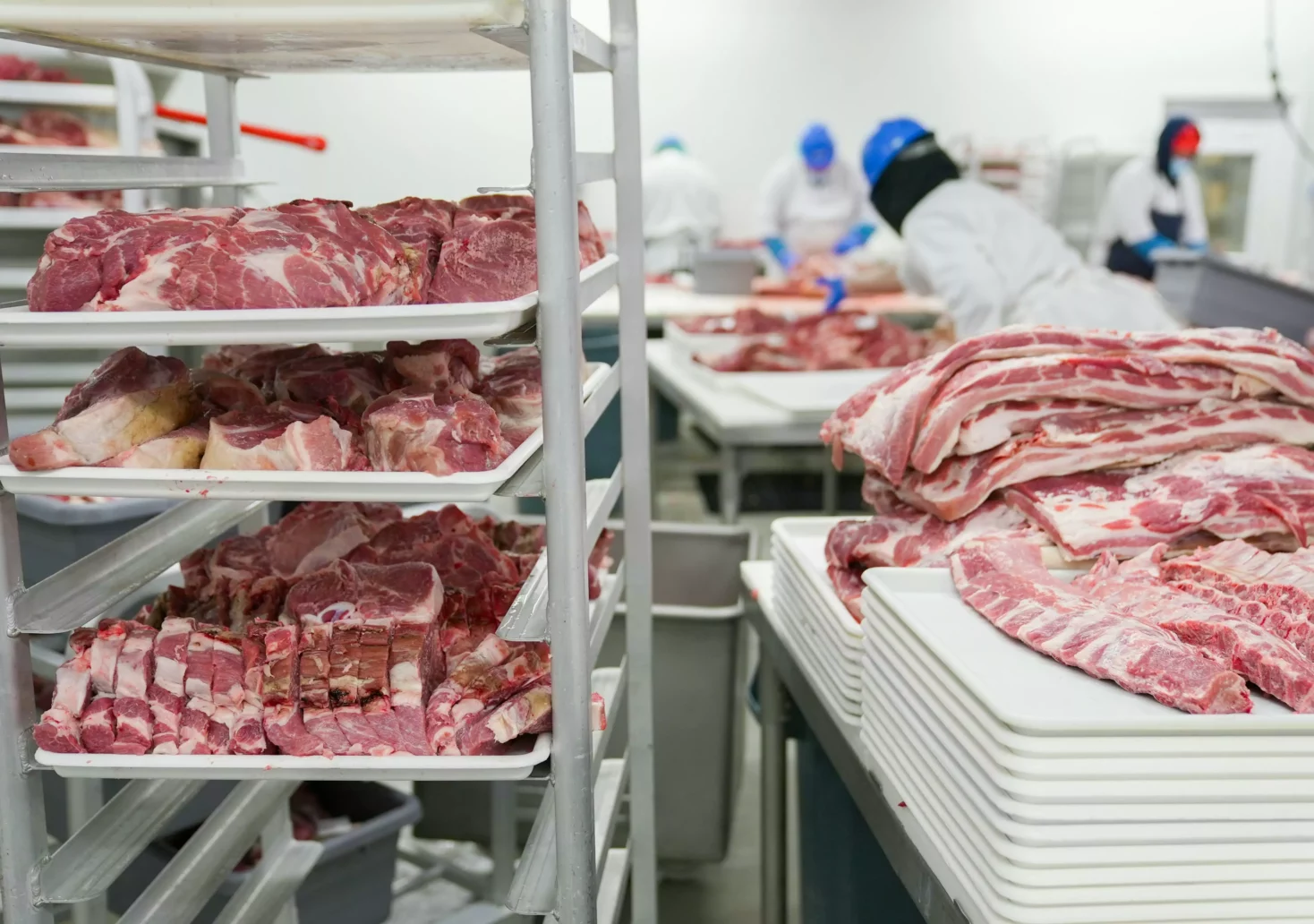 FOto auf 5min.at zeigt verschiedene Arten von Fleisch in einer Fabrik.