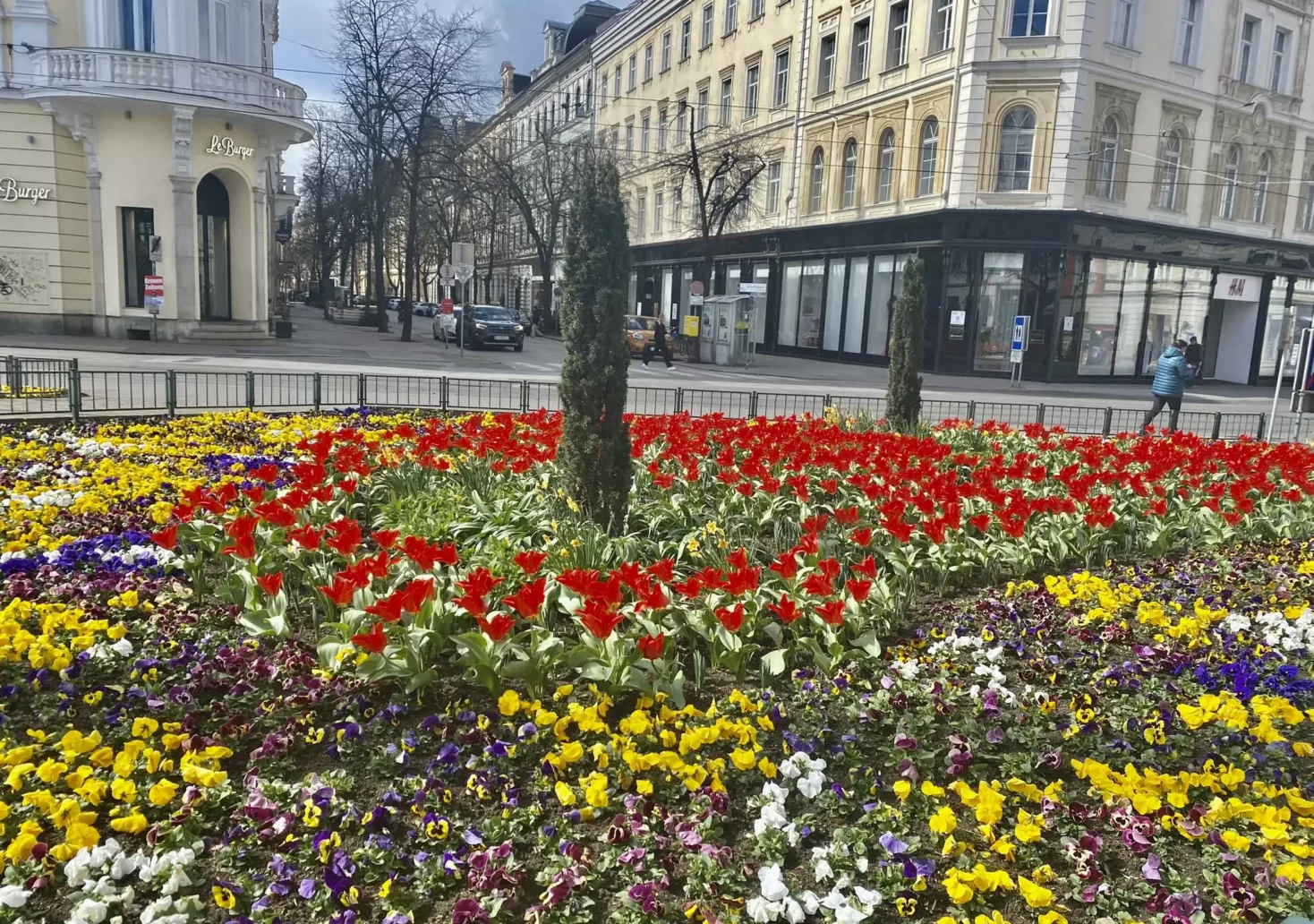 Bild auf 5min.at zeigt ein Blumen-Beet beim Eisernen Tor in Graz.