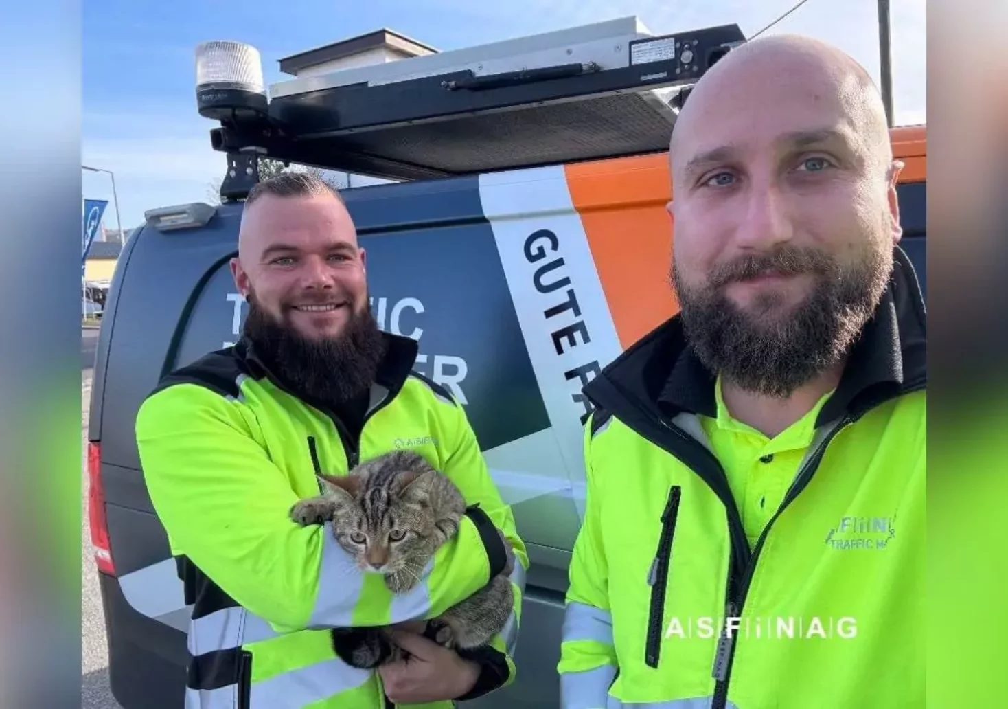 Tunnel gesperrt: Katze verirrte sich auf der A7