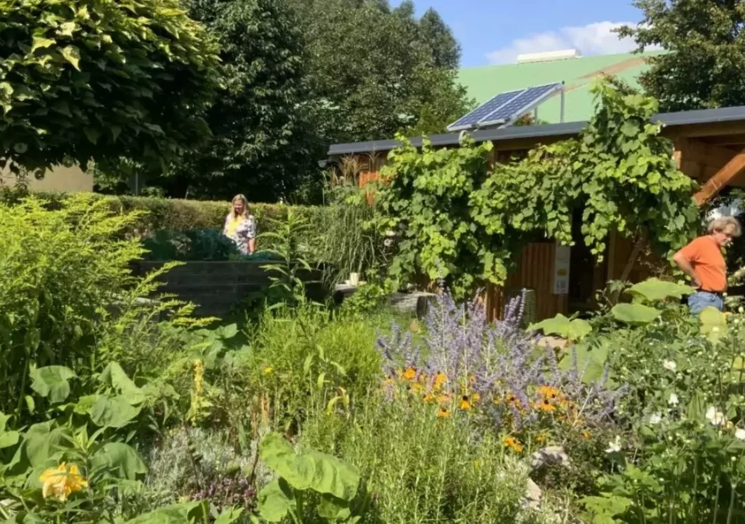 „Achterbahn Graz“ startet Gartengruppe für psychische Gesundheit