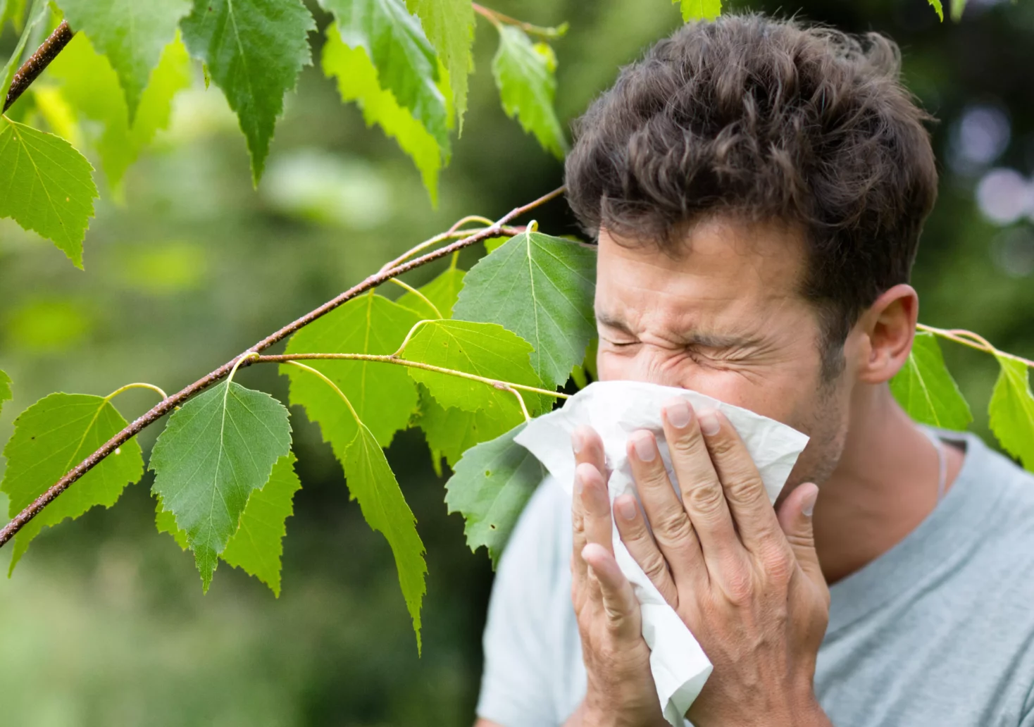 Ein Bild auf 5min.at zeigt einen Allergiker, der mit einem Niesen auf Birkenpollen reagiert.