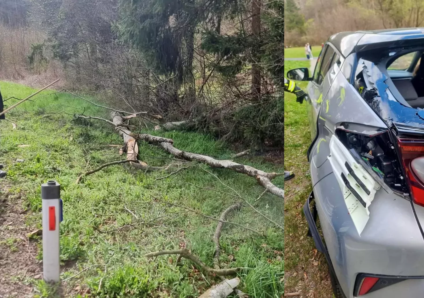 Baum stürzte auf Auto: Lenker verletzt