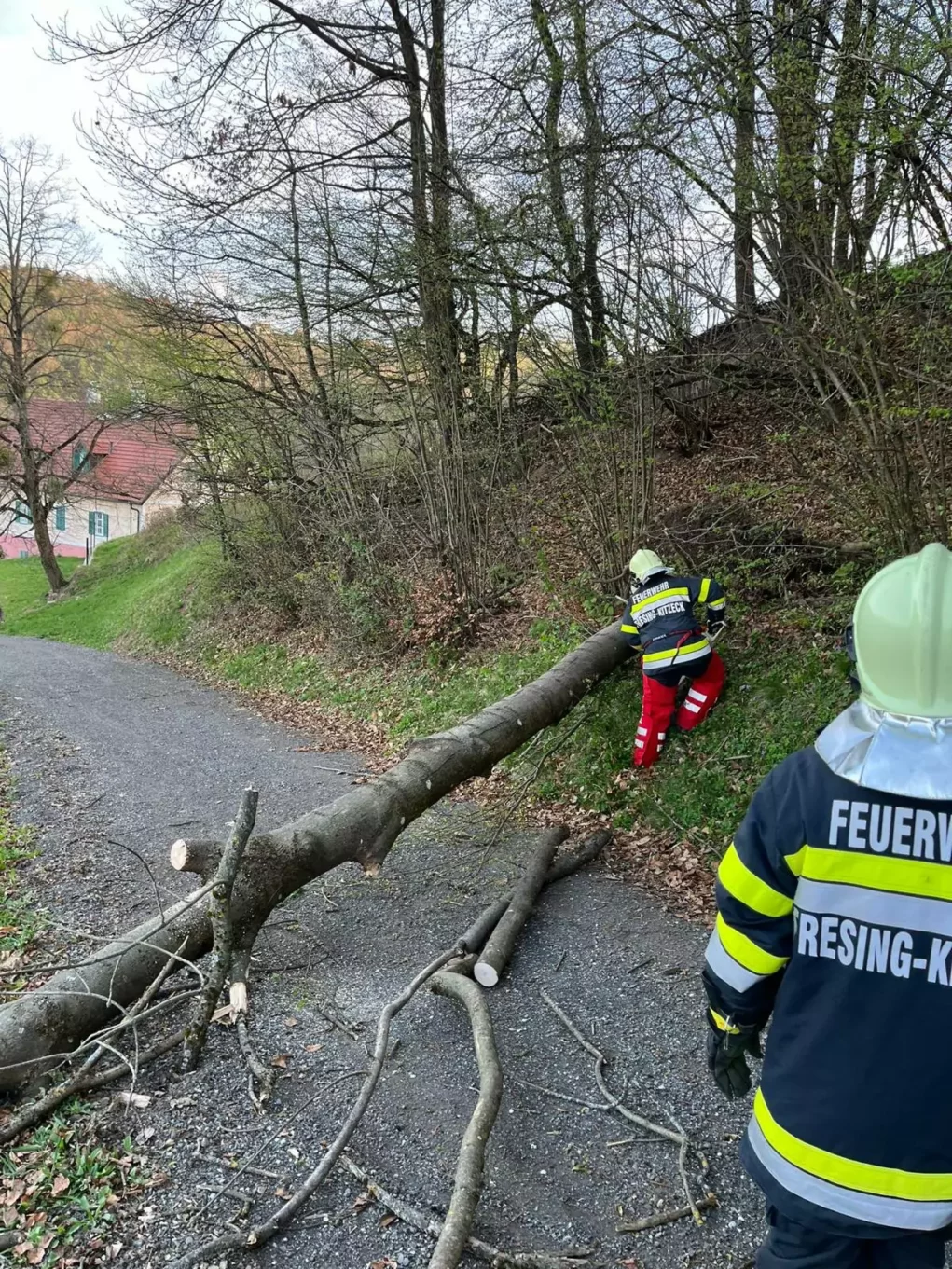 Sturmböen hielten steirische Feuerwehren auf Trab