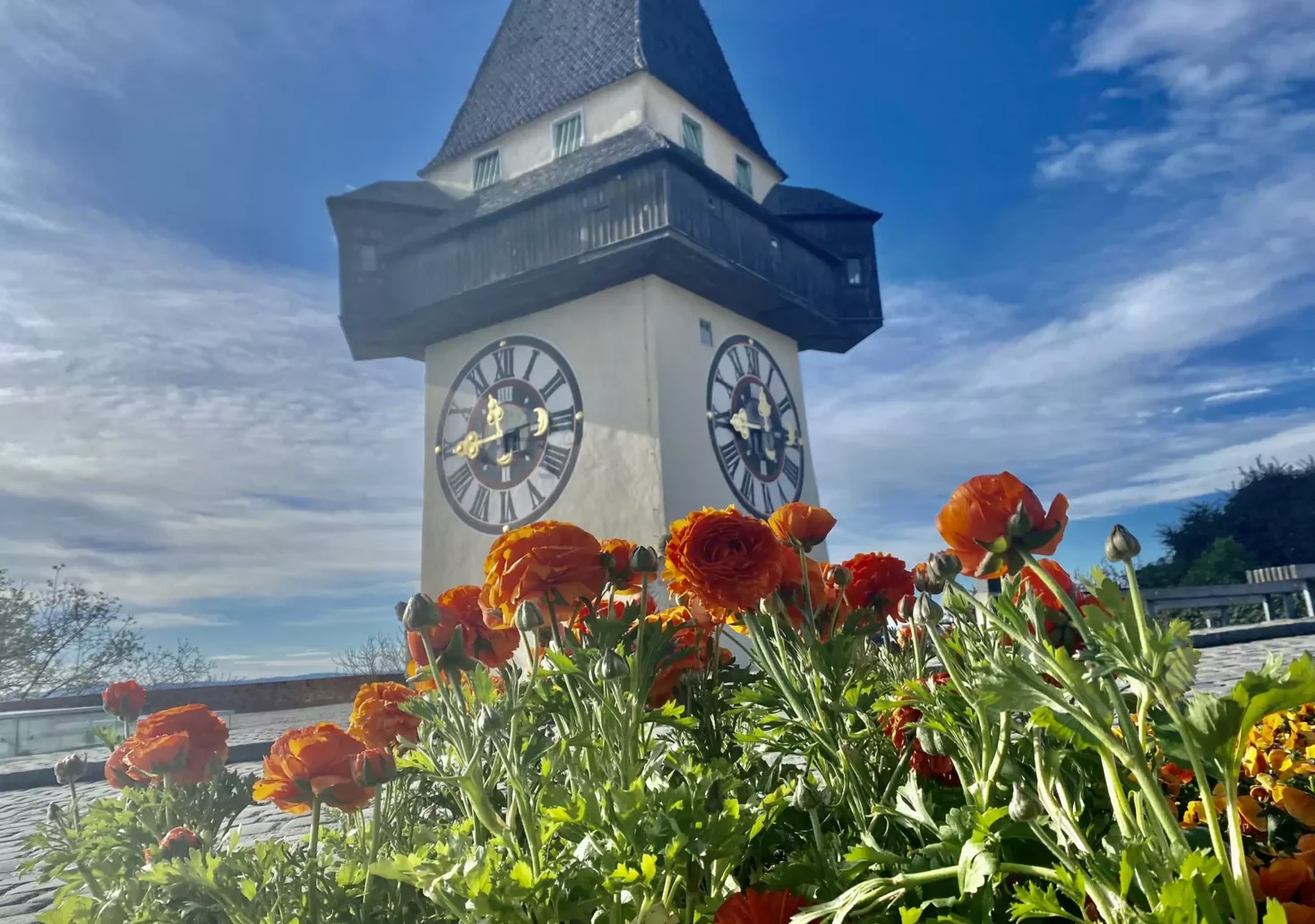Bild auf 5min.at zeigt die Blütenpracht am Grazer Schlossberg.