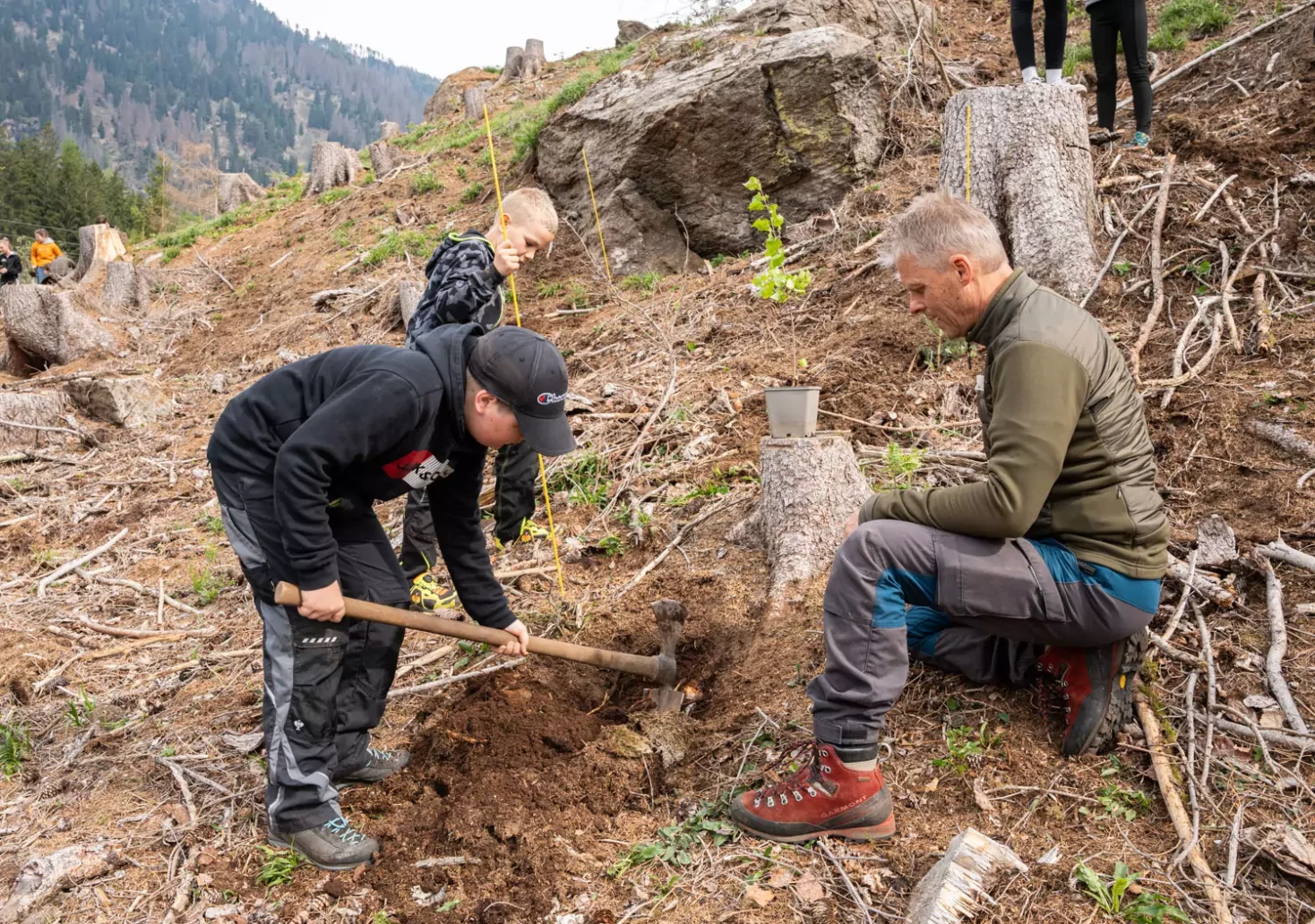 Stöpselwald-Initiative: Schüler pflanzen 200 Bäume in Straßgang
