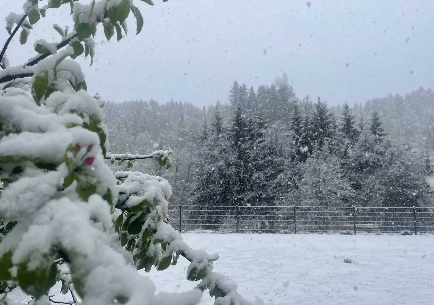 „Es schneit teils länger anhaltend“: Prognose für Dienstag