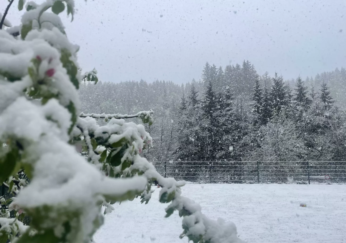 Schneefall in Kärnten hält an – aber wie lange?