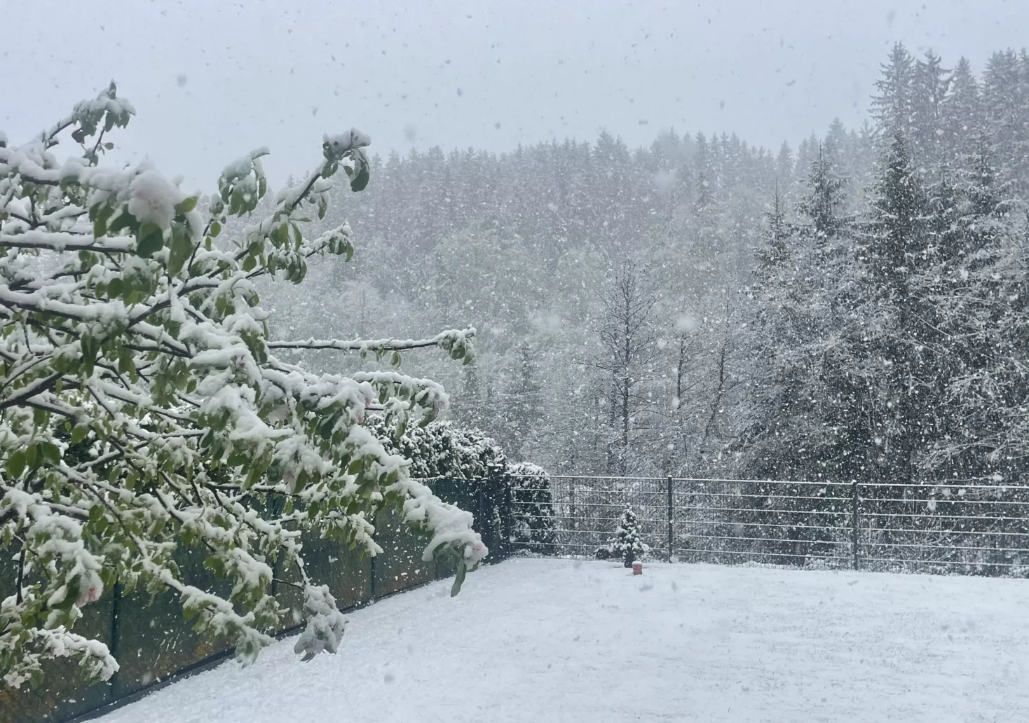 Wintereinbruch auf Kärntens Straßen: Hier gilt Schneekettenpflicht