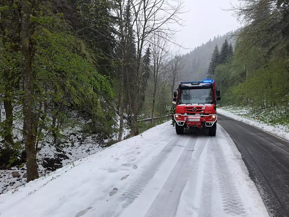 Ein Bild auf 5min.at zeigt ein Feuerwehrauto auf einer verschneiten Straße.
