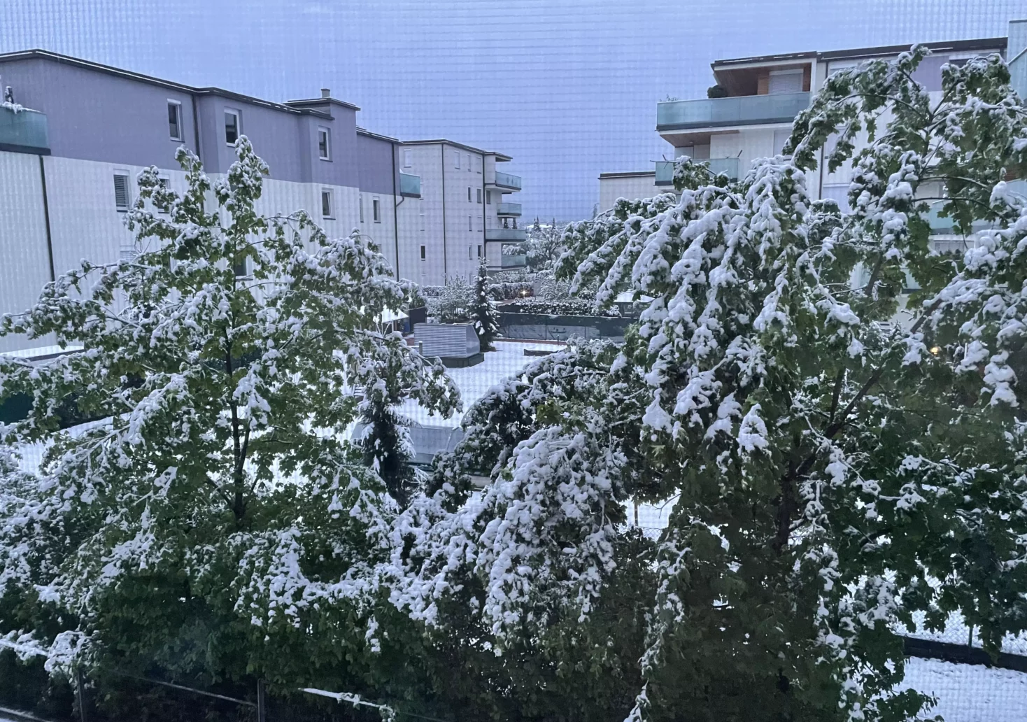 Schnee in Kärnten: Im Lesachtal blieben gleich 30 cm liegen