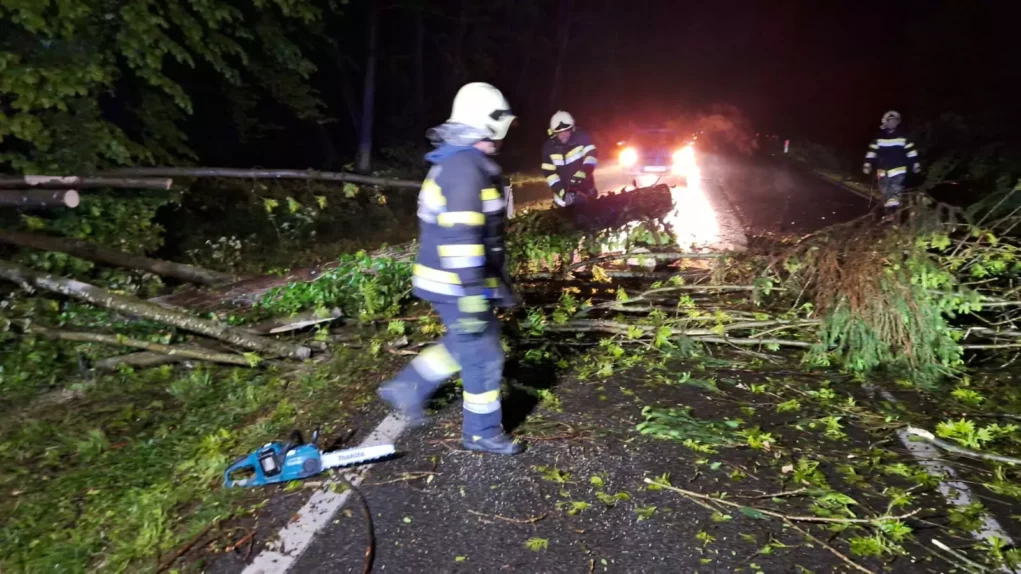 Früher Weckruf für die Feuerwehr: Baum lag mitten auf Leibnitzer Straße