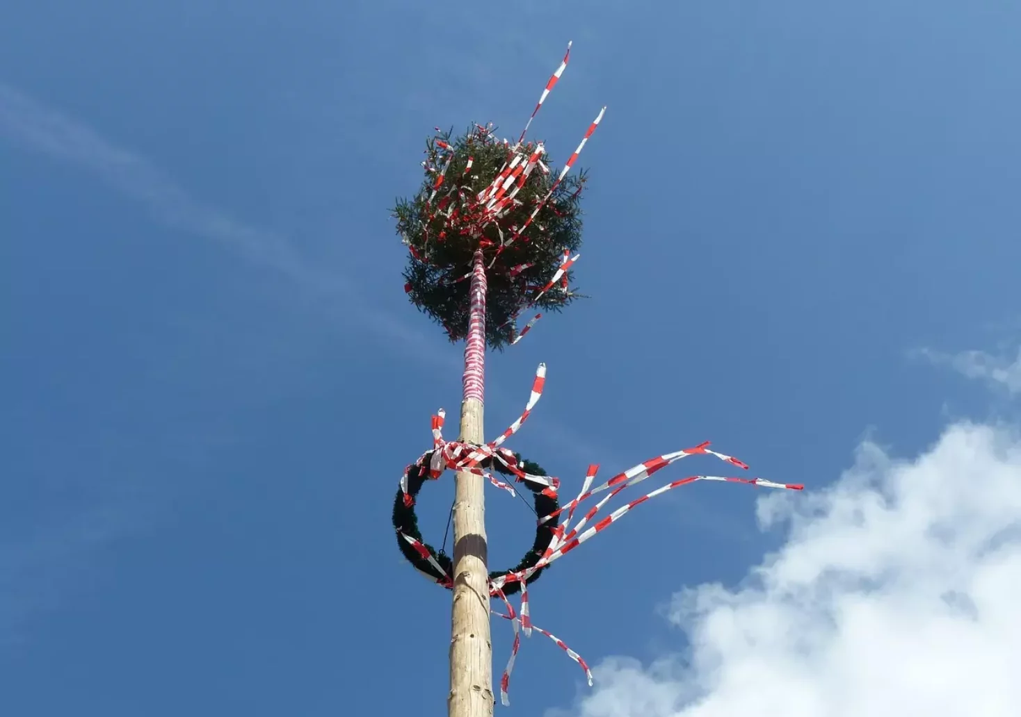 Das Bild auf 5min.at zeigt einen Maibaum vor blauem Himmel.