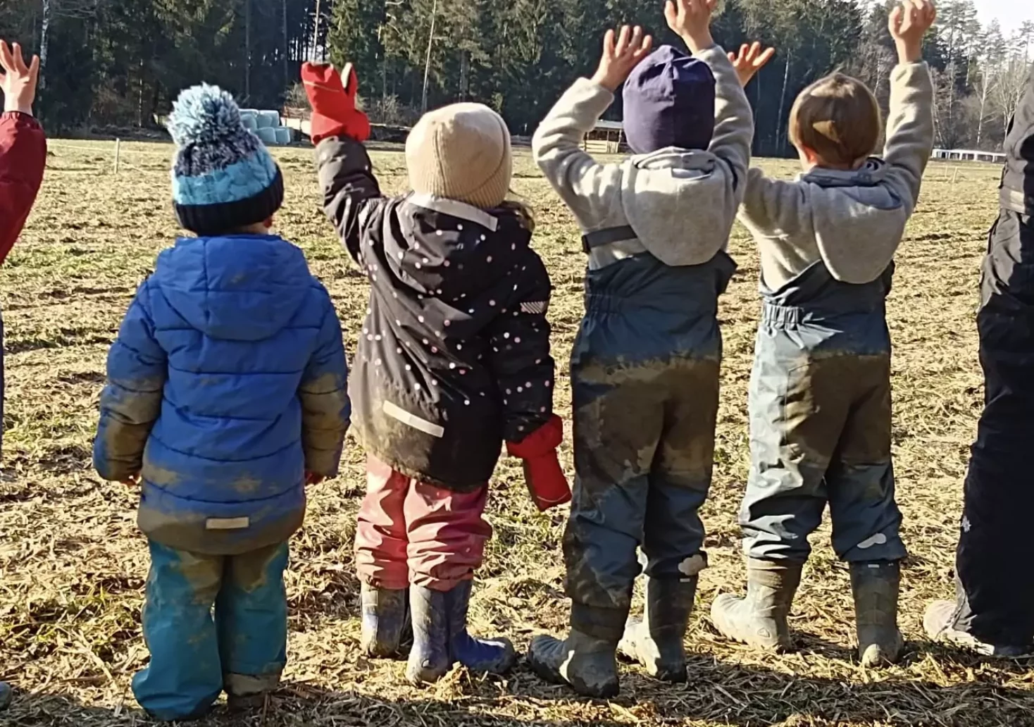 Das BIld auf 5min.at zeigt eine Gruppe Kinder eines Waldkindergartens auf einer Wiese.